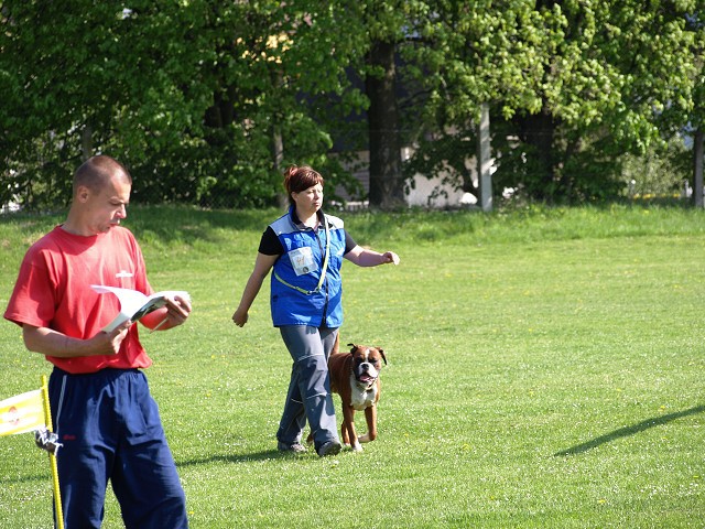 www.atibox.net * www.euroboxer.eu * www.boxergenealogia.eu